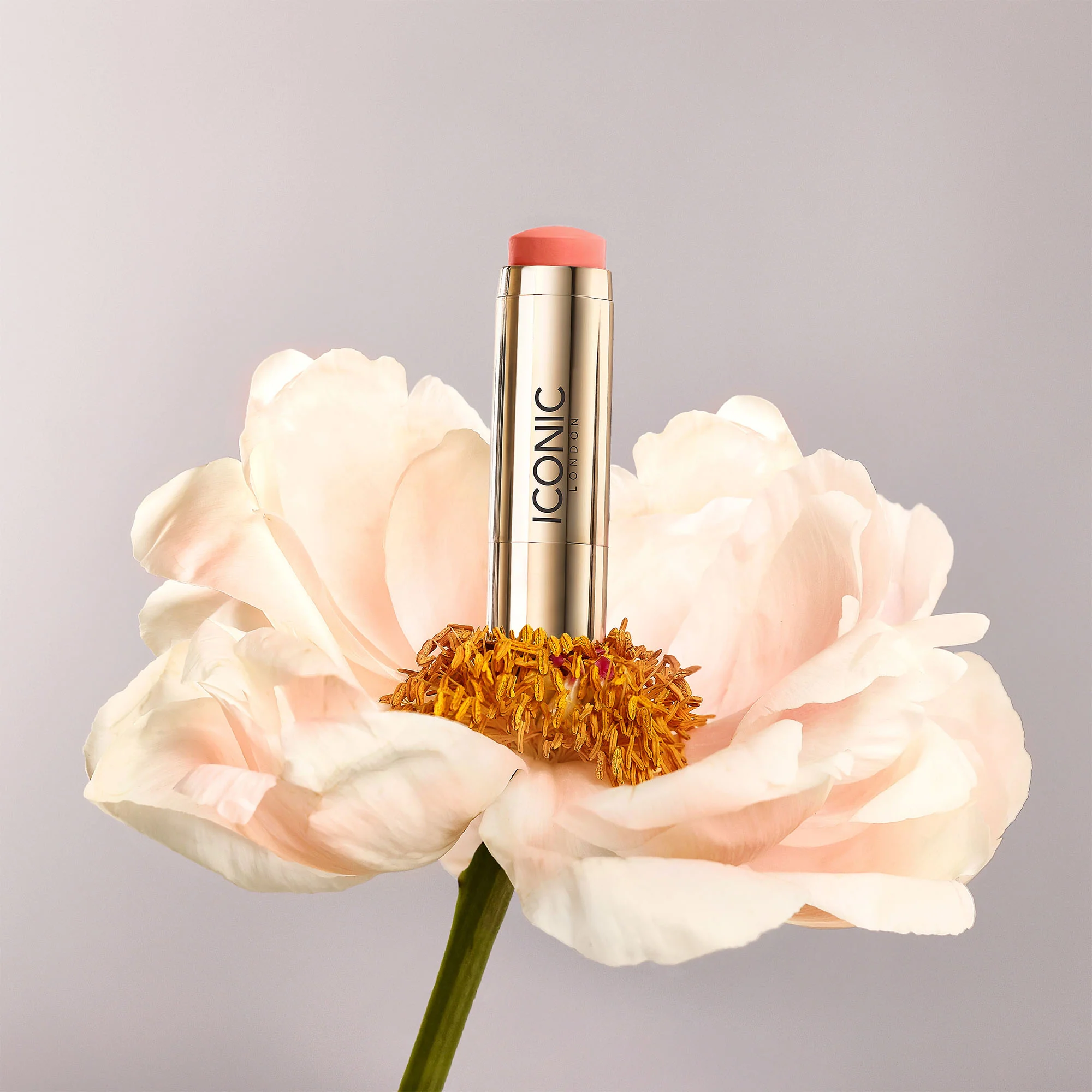 Blurring Blush Sticks - Image 12